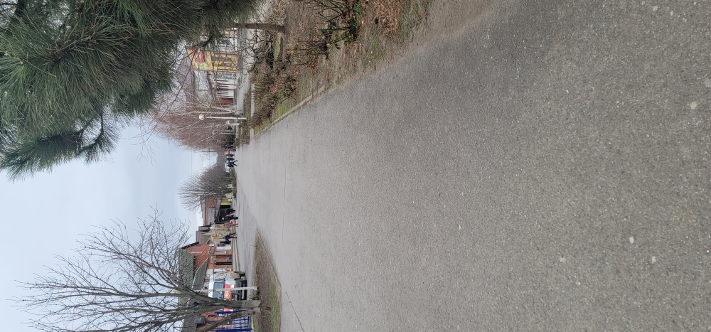 photo 05 05 2025 01