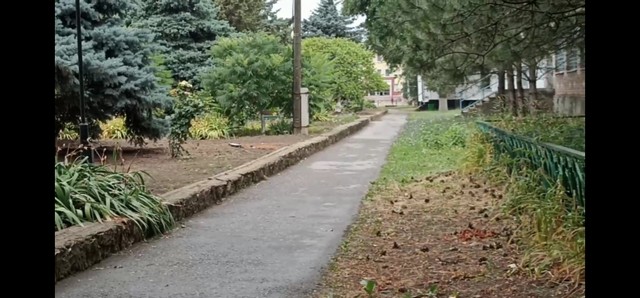 photo 05 05 2025 03