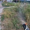 Акарицидные, ларвицидные обработки зон рекреации