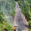 Акарицидные, ларвицидные обработки зон рекреации