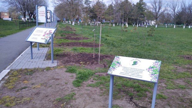 День древонасаждения