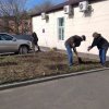 День древонасаждения