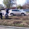 День древонасаждения