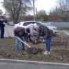 День древонасаждения