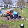 День древонасаждения