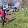 День древонасаждения